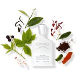 Creed Silver Mountain Water parfumska voda za moške 30 ml | Shoptok.si
