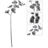  GRANA SA CVIJEĆEM SORTO | Eponuda.ba