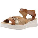 Pitillos Sandali & Odprti čevlji 10610P Kostanjeva | Shoptok.si