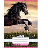 NEBULO konjić u zalasku sunca, bilježnica s crtama za 4. razred, A/5 21-32 | shoptok.hr