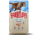 Carnilove Dog True Fresh Adult, briketi - riba in puran 4 kg | Shoptok.si