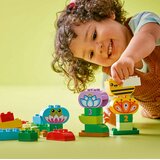 Lego Duplo Kreativni vrt i cvijeće 10444 | Eponuda.ba
