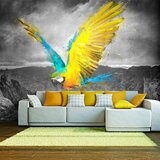  Tapeta - Exotic parrot 450x270 Cijene