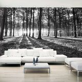  Samoljepljiva foto tapeta - Grey Wilderness II 490x280 | shoptok.hr