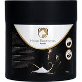  Elektroliti v prahu - 1 kg | Shoptok.si
