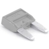 TRU COMPONENTS Mini plosnati osigurač za auto 2 A Siva 8551176 1 ST Cijene
