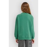 Element Lowcase Pigment Kids Pulover fir | Shoptok.si
