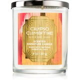 Bath & Body Works Calypso Clementine dišeča sveča 227 g Cene