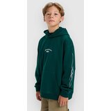 Quiksilver Stretch Tribal Kids Pulover s kapuco botanical garden | Shoptok.si