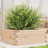 Maison Chic Vrtno cvetlično korito - Cvetlični Lonec 60x60x23 cm trdna borovina, (21789150) | Shoptok.si