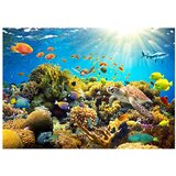  Tapeta - Underwater Land 150x105 | shoptok.hr