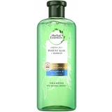 Herbal essences potent aloe + bamboo šampon za kosu 380 ml