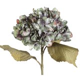 Eglo 428371 - Veštačka biljka ETAYA 62 cm zelena | Eponuda.com