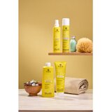 Alama professional Frequent Conditioner regenerator za svakodnevnu uporabu 300 ml | shoptok.hr