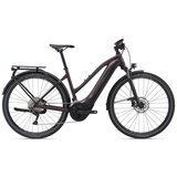  BICIKL GIANT Explore E+ 1 Pro STA 800 Wh 25 km/h - S cijene