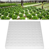 INORCO Ponge Hydroponique - 50pices D'Ponge Hydroponique Plantant Dans Un Outil De Jardinage Effet De Serre Ponges De Semis Pour La Culture De Petits Bourge, (21986220) Cene