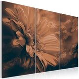  Slika - Intangible beauty 60x40 Cijene