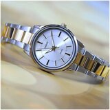 Casio Analogne ure LTP1303SG7A pisana | Shoptok.si