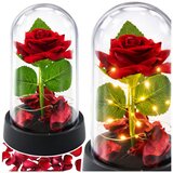  Vječna ruža u kupoli s LED rasvjetom crvena s laticama ruže 14x8cm | shoptok.hr