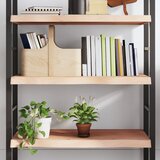 vidaXL Zidna polica 100x50x(2-6) cm neobrađena masivna hrastovina | shoptok.hr