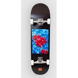 Tricks Betta 8.25"x31.85" MAXI Skate komplet uni Cene