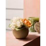 Sinsay Dekorativna biljka u tegli | shoptok.hr