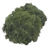  Mahovina islandska umjetna 50g Knorr Prandell 21-6694462 zelena Cijene