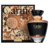 Rue Broca Carino parfumirana voda za moške 100 ml | Shoptok.si