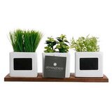  UMJETNE BILJKE BILJE U POSUDAMA SET 3/1 ATMOSPHERA | shoptok.hr