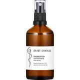 Saint Charles Sprej za prostor Five Heroes - 100 ml cene