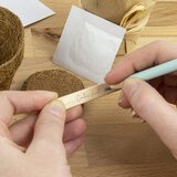  Grow it - kaktus | Shoptok.si