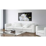 Slika - Snowy orchid 120x80 | shoptok.hr