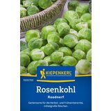 KIEPENKERL Brstični ohrovt Roodnerf - 1 pkt. Cene