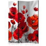  Paravan u 3 dijela - Poppies in the Moonlight [Room Dividers] 135x172 Cijene