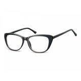 Berkeley Naočare AC14F | ePonuda.com