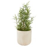  Saksija Brilleand fi 37xV37 salesno ( 6440002 ) | Eponuda.com