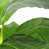  Umjetno banana drvo Zelena 125 x 25 x 250 cm Tkanina i bambus | Eponuda.com