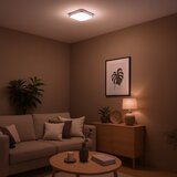  LED stropna svetiljka NEMO LED/11W/230V 26x26 cm sjajni hrom | Eponuda.com