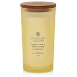 Chesapeake Bay Candle Mind & Body Strength & Energy mirisna svijeća 355 g Cijene