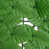 vidaXL Balkonski zastor sa zelenim lišćem 500 x 100 cm | shoptok.hr