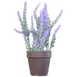Edelman Umjetna biljka Lavanda (11 x 26 cm, Lila, Plastika) Cijene