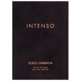 Dolce & Gabbana Pour Homme Intenso parfumirana voda za moške 125 ml | Shoptok.si