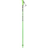 Elan štapovi za skijanje HOTROD zelena CD612121 Cene'.'