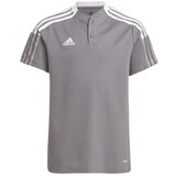 Adidas Majice s kratkimi rokavi Sport-polo Team Tiro 21 Siva | Shoptok.si