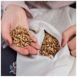 Bonatura Pirin vzglavnik | Shoptok.si