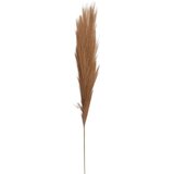  Rezano cvijeće grana pampas 110 cm 63450820 Cijene