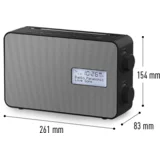 DAB+ radio RF-D30BTEG-K