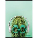 STREET Zvezek A5 Young, črte z robom, 80 listov, sortirano, 1 kos | Shoptok.si