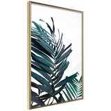  Poster - Evergreen Palm Leaves 40x60 | shoptok.hr