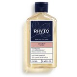 Phyto color Šampon za farbanu kosu, 250ml NOVO Cene